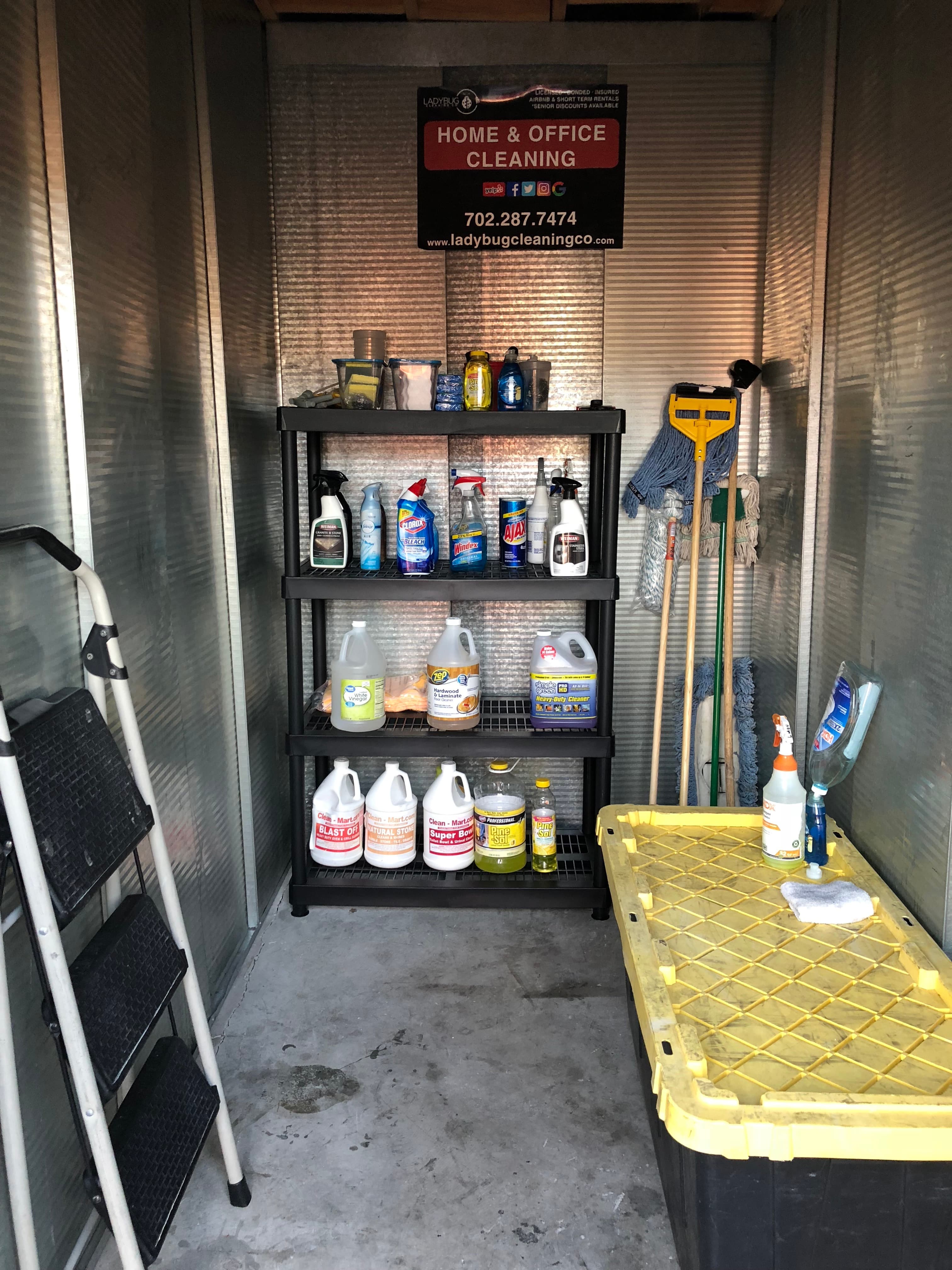 Ladybug Cleaning Co. supplies and equipment