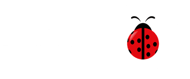 Ladybug Cleaning Co.